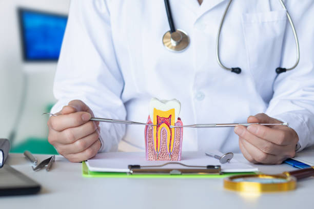 Best Broken or Cracked Tooth Emergency Dentist in Braddock, VA